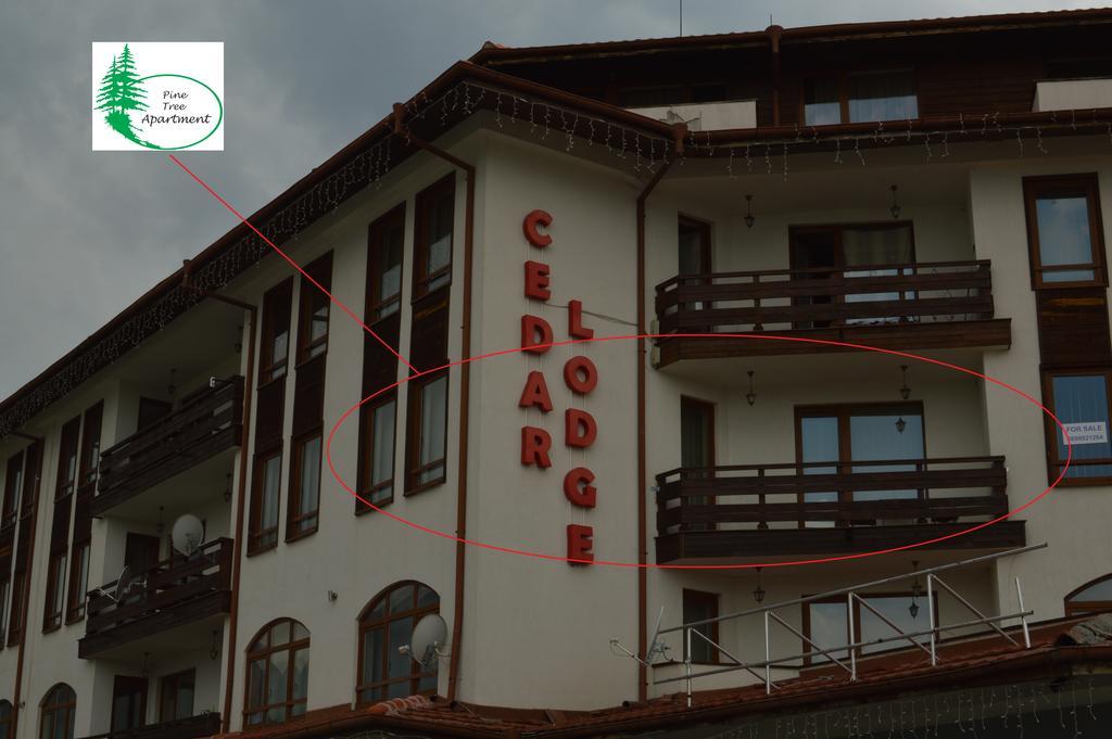 Pine Tree Apartment D34 Bansko Zewnętrze zdjęcie